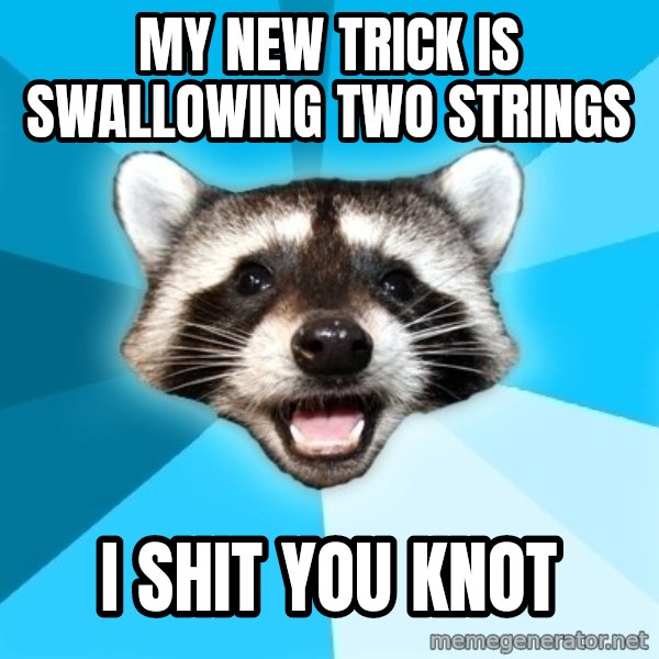 Lame Pun Coon meme: my new trick is swallowing two strings / i shit you knot
