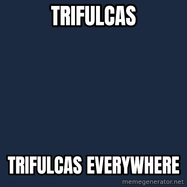 X, X Everywhere  meme: Trifulcas / trifulcas everywhere