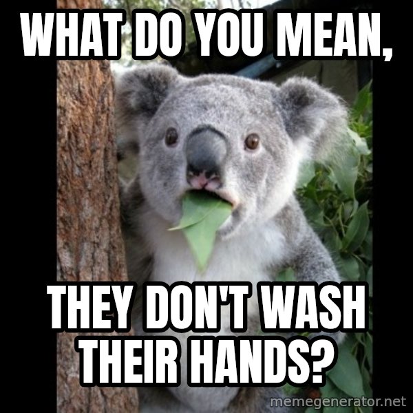 Koala can't believe it meme: what do you mean, / THEY don't wash their hands?