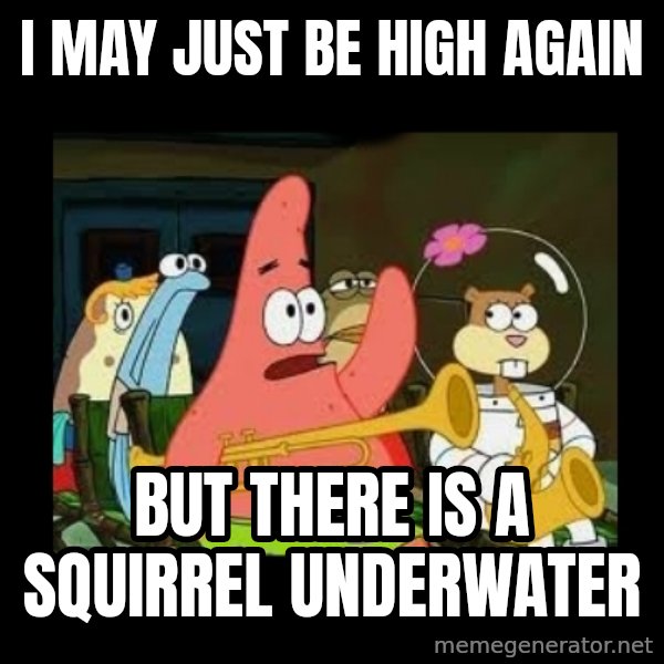 Patrick Star Instrument meme: I may just be high again / but there is a SQUIRREL underwater