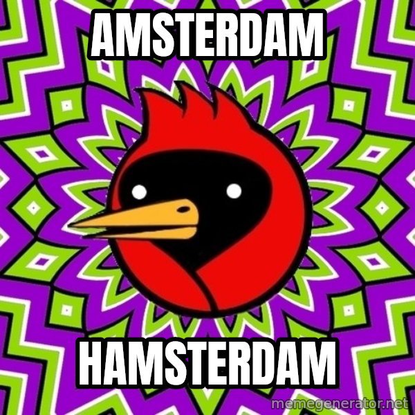 Omsk Crow meme: Amsterdam / Hamsterdam