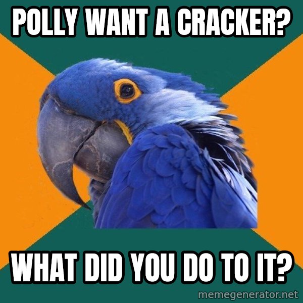 Paranoid Parrot meme: polly want a cracker? / What did you do to it?