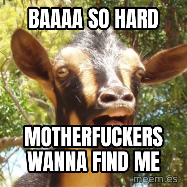Illogical Goat meme: baaaa so hard / motherfuckers wanna find me