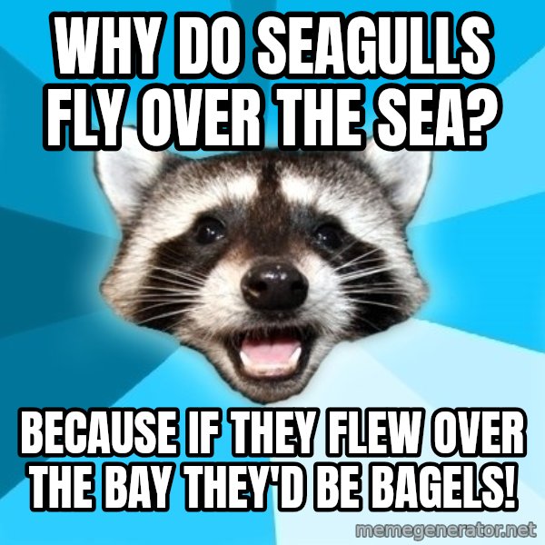 Lame Pun Coon meme: why do seagulls fly over the sea? / because if they flew over the bay they'd be bagels!