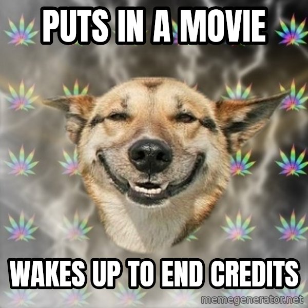 Stoner Dog meme: puts in a movie / wakes up to end credits