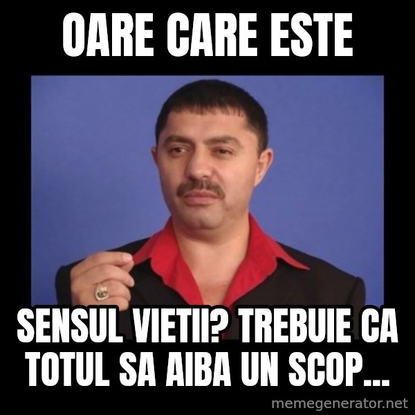 Manelistul Nicolae Guta meme: oare care este / sensul vietii? trebuie ca totul sa aiba un scop...