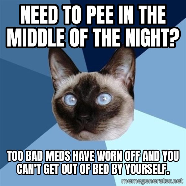 Chronic Illness Cat meme: Need to pee in The middle of the night? / Too bad meds have woRn off and you can't get out of bed by yoursElf.