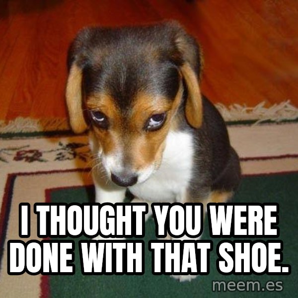Sad Puppy meme: I thought you were done with that shoe.
