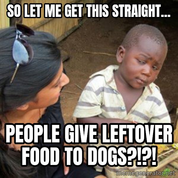 Skeptical 3rd World Kid meme: SO LET ME GET THIS STRAIGHT... / PEOPLE GIVE LEFTOVER FOOD TO DOGS?!?!