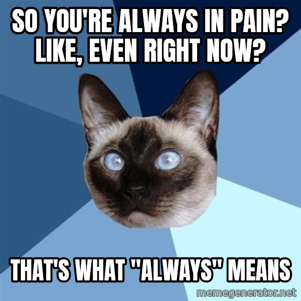 Chronic Illness Cat meme: So you're always in pain? Like, even right now? / That'S what "always" means