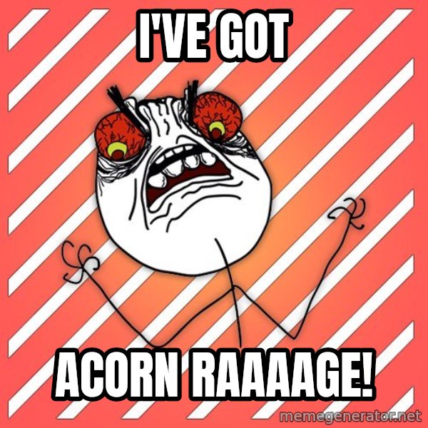 iHate meme: i've got / acorn raaaage!