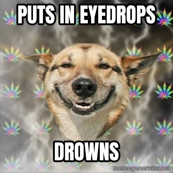 Stoner Dog meme: puts in eyedrops / DRowns