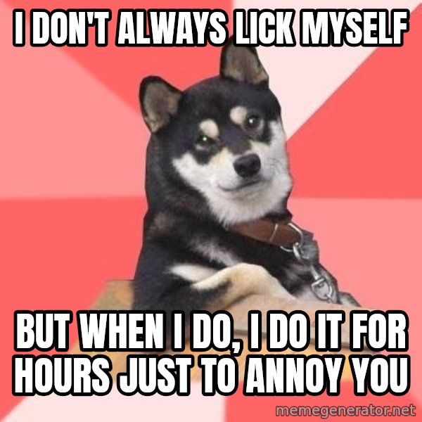 Cool Dog meme: i don't always lick myself / but when I do, i do it for hours just to annoy you
