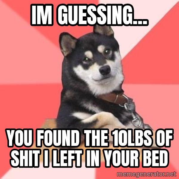 Cool Dog meme: im guessing... / you found the 10lbs of shit i left in your bed