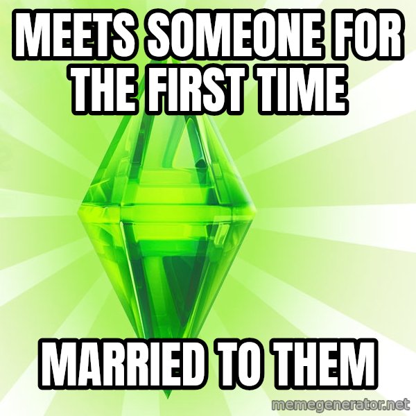 Sims meme: MEETS SOMEONE FOR THE FIRST TIME / MARRIED TO THEM