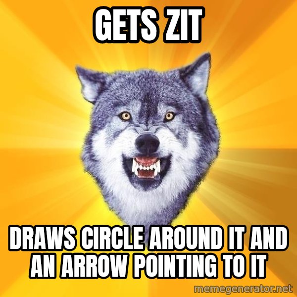 Courage Wolf meme: Gets zit / draws circle around it and an arrow pointing to it