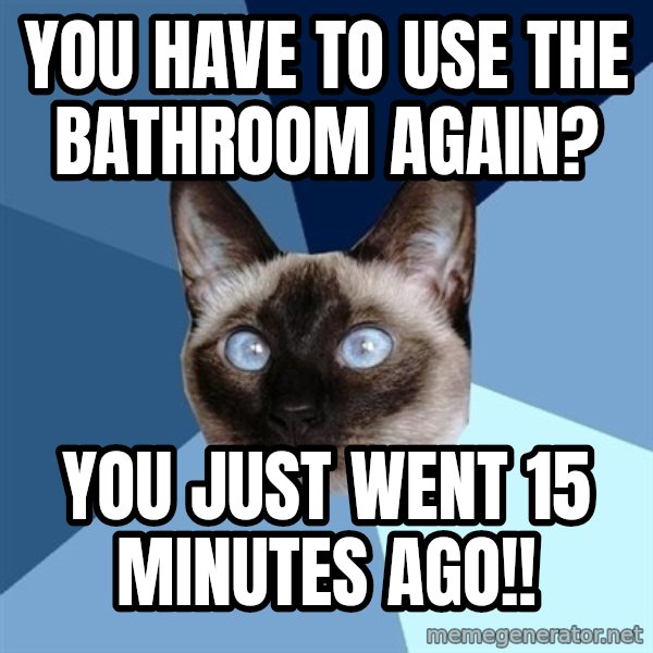 Chronic Illness Cat meme: You have to use the bathroom again? / You just went 15 minutes ago!!