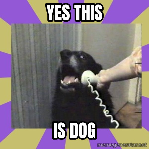 Yes, this is dog! meme: YES THIS / IS DOG