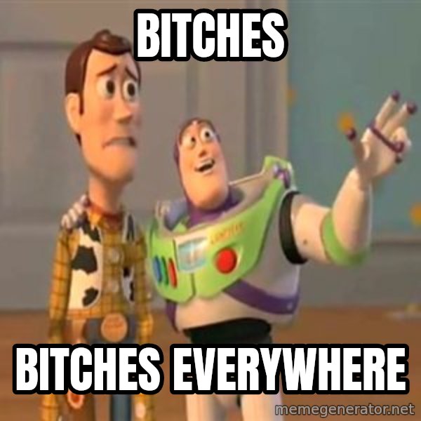 X, X Everywhere  meme: BiTCHES / BITCHES EVERYWHERE
