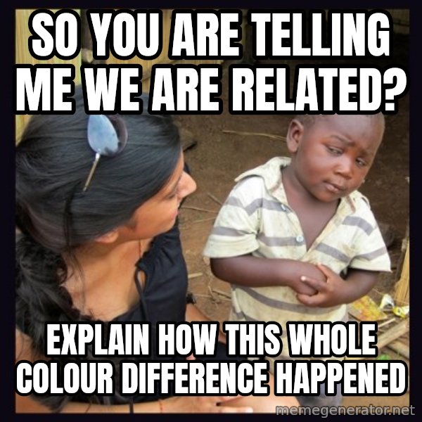 Skeptical third-world kid meme: SO YOU ARE TELLING ME WE ARE RELATED? / EXPLAIN HOW THIS WHOLE COLOUR DIFFERENCE HAPPENED