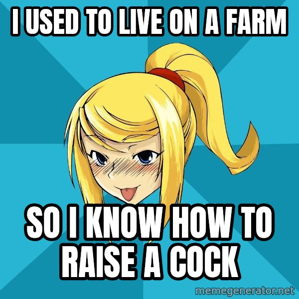 Horney Samus meme: i used to live on a farm / so i know how to raise a cock