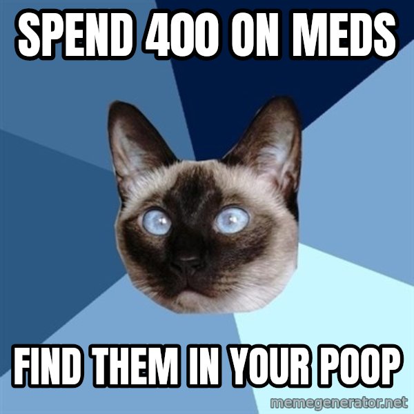 Chronic Illness Cat meme: Spend 400 on meds / find them in your poop