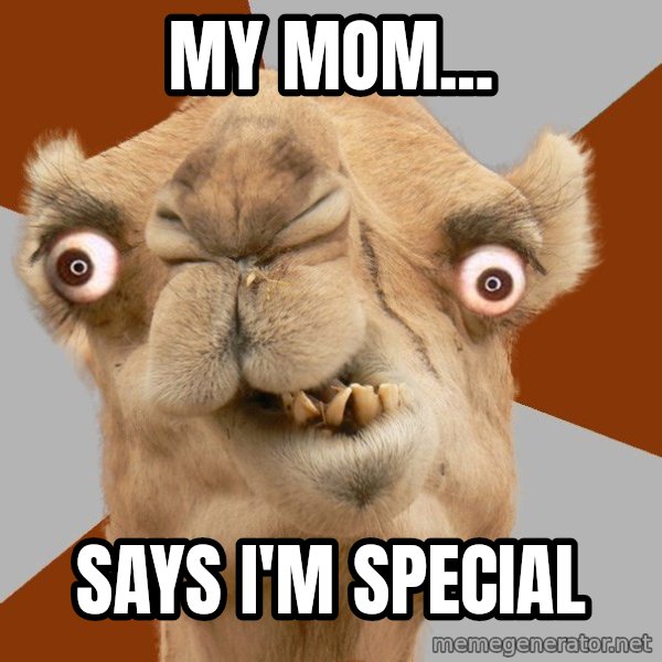 Crazy Camel lol meme: MY MOM... / SAYS I'M SPECIAL