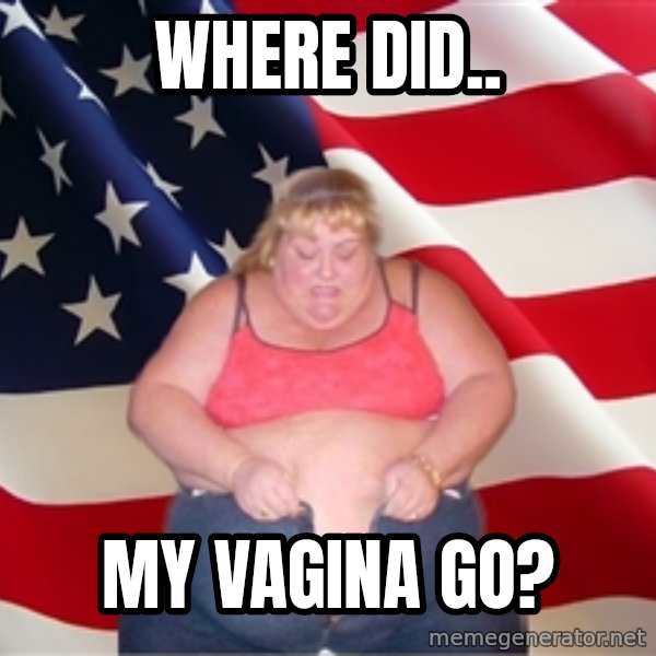 Asinine America meme: where did.. / my vagina go?