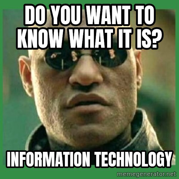 Matrix Morpheus meme: DO YOU WANT TO KNOW WHAT IT IS? / INFORMATION TECHNOLOGY