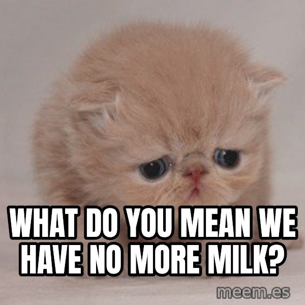 Super Sad Cat meme: what do you mean we have no more milk?