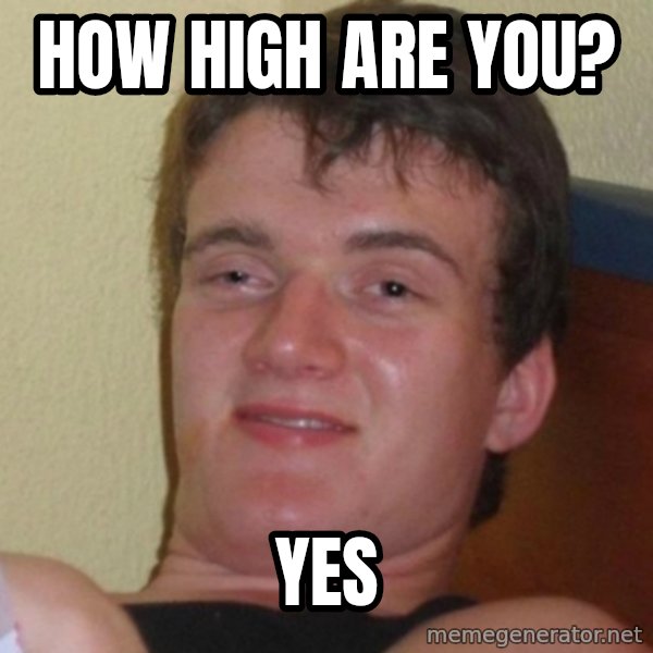Really Stoned Guy meme: How high are you? / yes