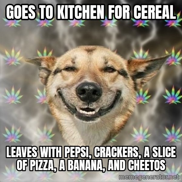 Stoner Dog meme: goes to kitchen for cereal / leaves with pepsi, crackers, a slice of pizza, a banana, and cheetos