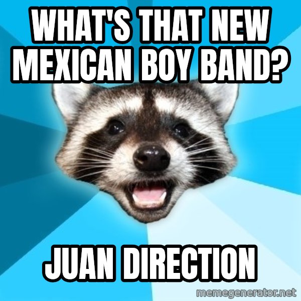 Lame Pun Coon meme: WHAT'S THAT NEW MEXICAN BOY BAND? / JUAN DIRECTION
