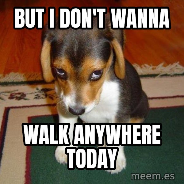 Sad Puppy meme: But I don't wanna / Walk anywhere toDay