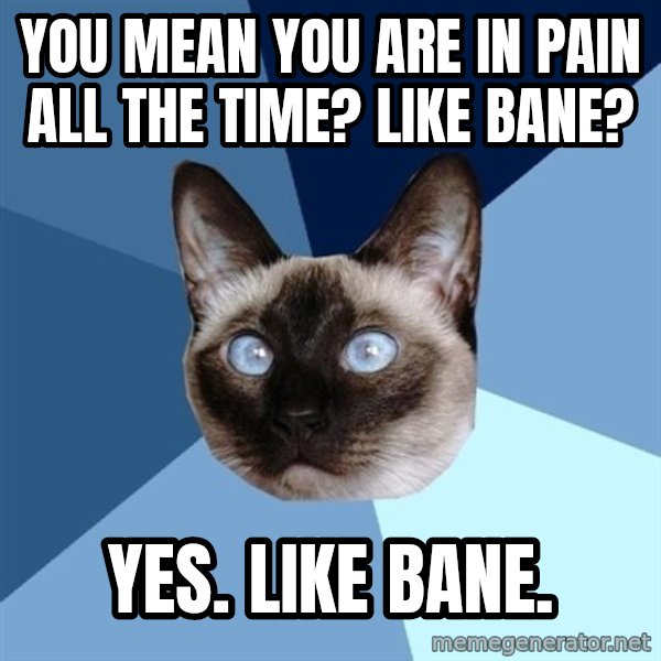 Chronic Illness Cat meme: you mean you are in pain all the time? Like bane? / yes. like bane.