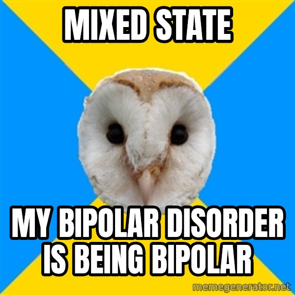 Bipolar Owl meme: MIXED STATE / MY BIPOLAR DISORDER IS BEING BIPOLAR