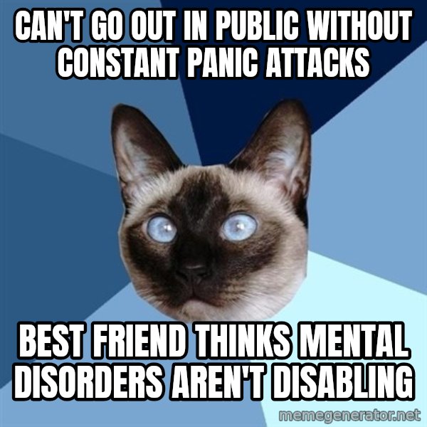 Chronic Illness Cat meme: CAN'T GO OUT IN PUBLIC WITHOUT CONSTANT PANIC ATTACKS / BEST FRIEND THINKS MENTAL DISORDERS AREN'T DISABLING