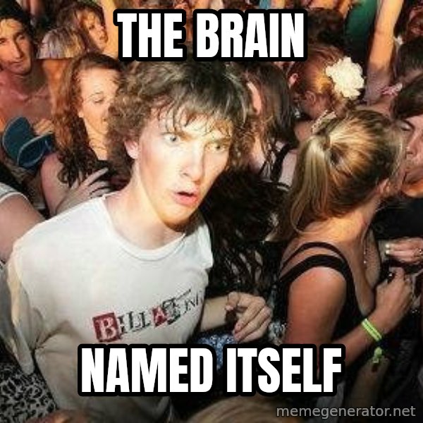 -Sudden Clarity Clarence meme: THE BRAIN / NAMED ITSELF