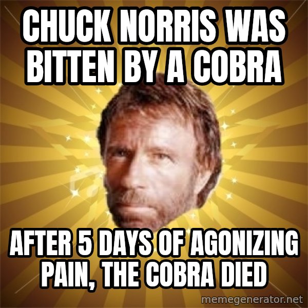 Chuck Norris Advice meme: CHUCK NORRIS WAS BITTEN BY A COBRA / AFTER 5 DAYS OF AGONIZING PAIN, THE COBRA DIED
