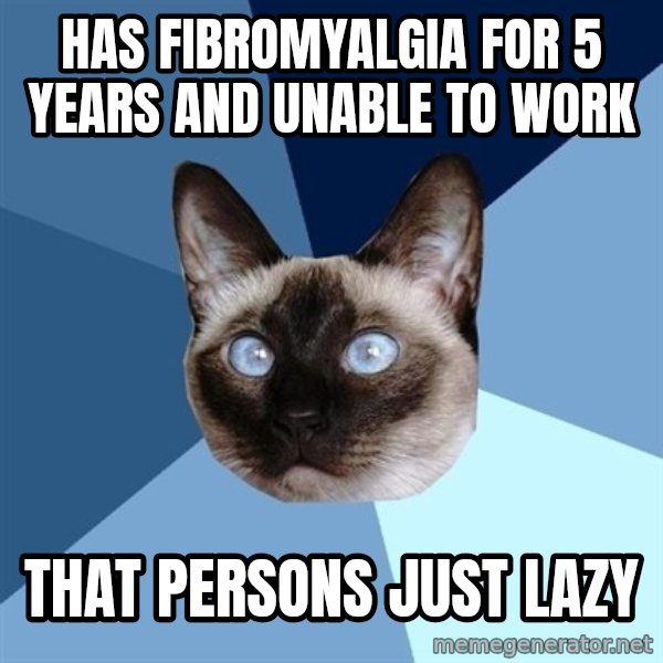 Chronic Illness Cat meme: Has fibromyalgia for 5 years and unable to work / that persons just lazy