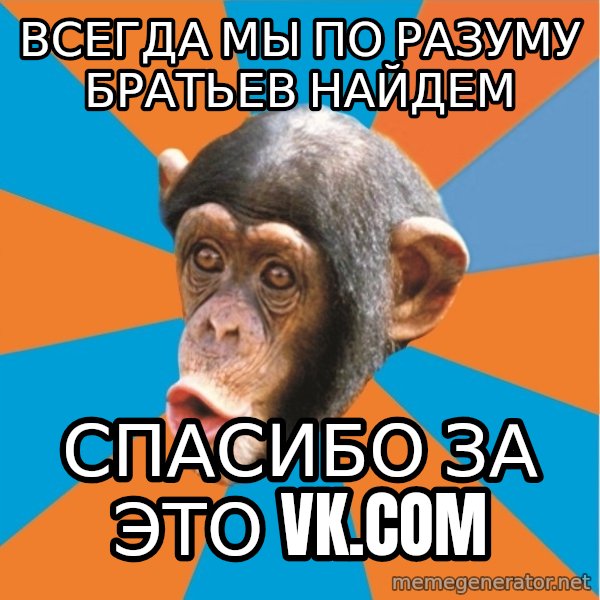 Stupid Monkey meme: всегда мы по разуму братьев найдем / спасибо за это vk.com