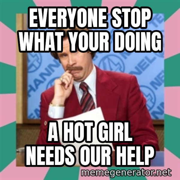 anchorman meme: everyone stop what your doing / a hot girl needs our help