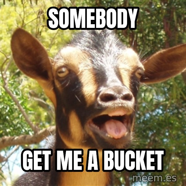 Illogical Goat meme: SOMEBODY / GET ME A BUCKET