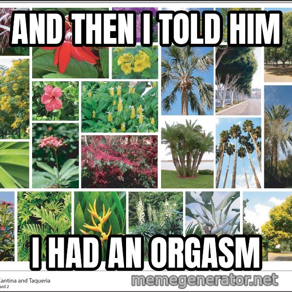 imageboard meme: and then i told him / i had an orgasm