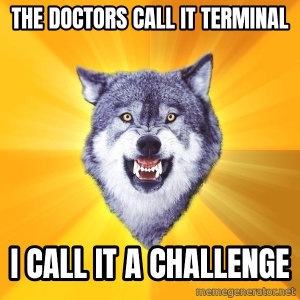 Courage Wolf meme: the doctors call it terminal / i call it a challenge