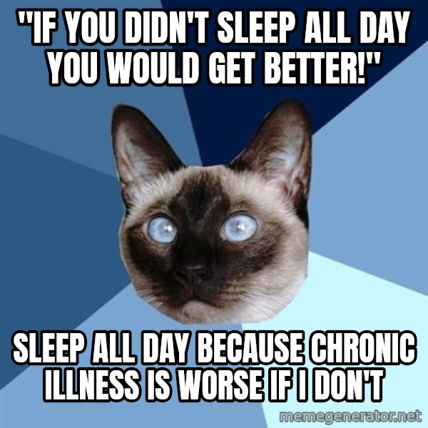 Chronic Illness Cat meme: "if you didn't sleep all day you would get better!" / sleep all day because chronic illness is worse if i don't
