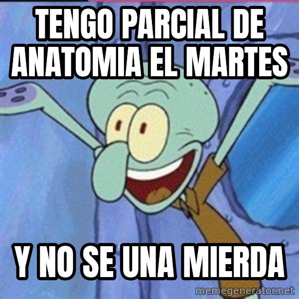 calamardo me vale meme: tengo parcial de anatomia el martes / y no se  una mierda