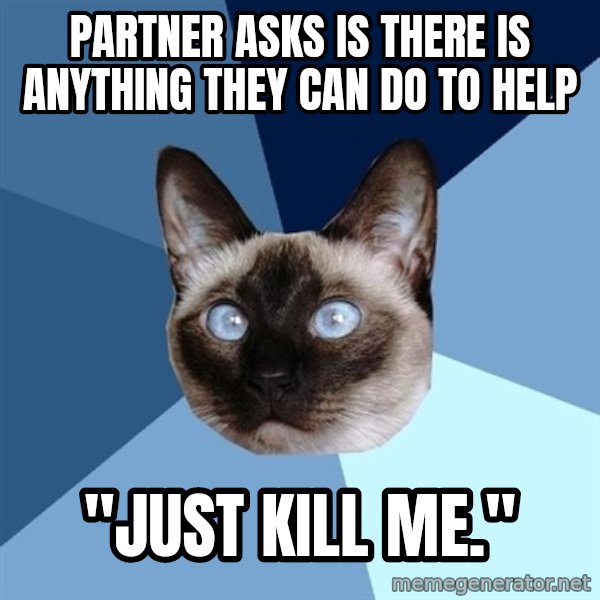 Chronic Illness Cat meme: Partner asks is there is ANYTHING they can do to help / "just kill me."