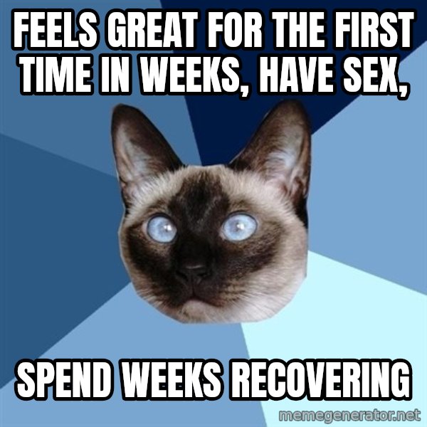 Chronic Illness Cat meme: feels great for the first time in weeks, have sex, / spend weeks recovering