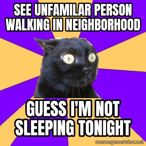 Anxiety Cat meme: See unfamilar person walking in neighborhood / Guess I'm not sleeping tonight